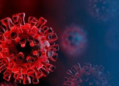 شناسایی 16 مورد نو مبتلا به کرونا ویروس در ایلام
