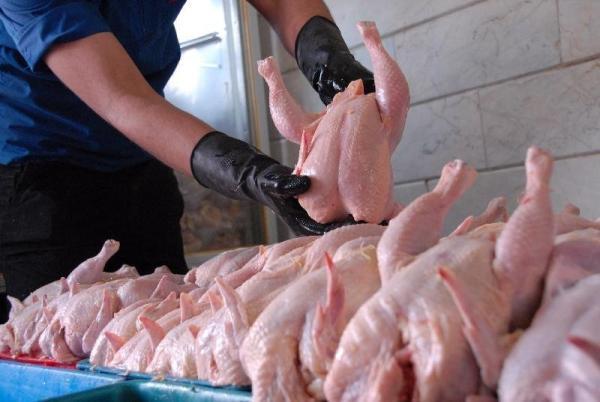 نرخ مصوب هرکیلو مرغ زنده و گرم اعلام شد ، عرضه مرغ گرم با نرخ 150 هزارتومان گرانفروشی است